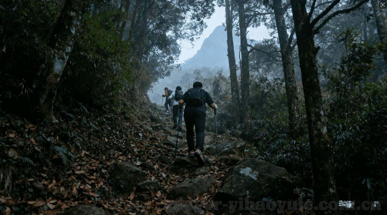 世界杯买球ab82^net权威-世界杯买球，理性参与与风险认知